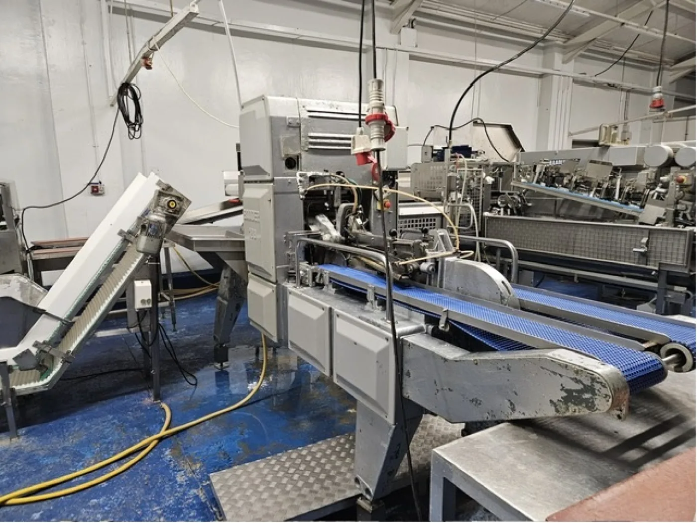 Baader 189 Filleting Machine - 2