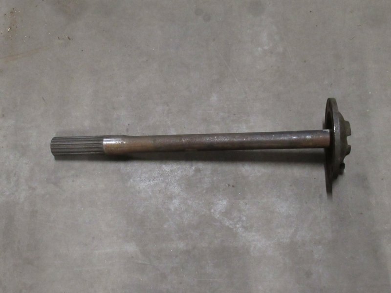 Steekas (NOS)
