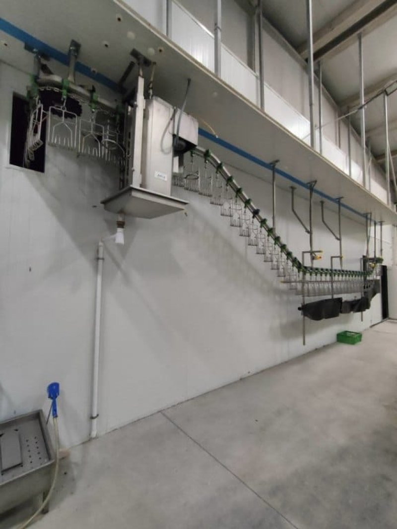 Poultry line, Bayle, 1.500 bph