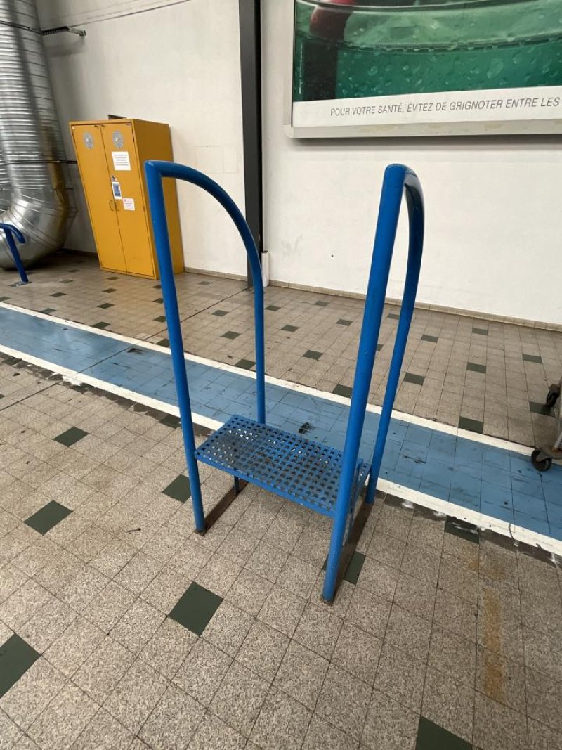 Unknown 500mm Steps with Handrail