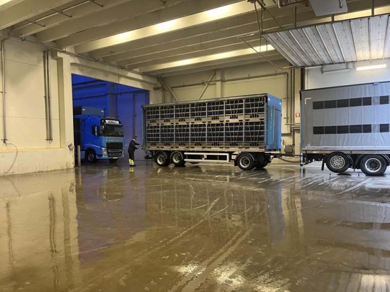 Live bird handling system, Linco