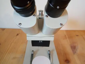 Ward Stereomicroscoop