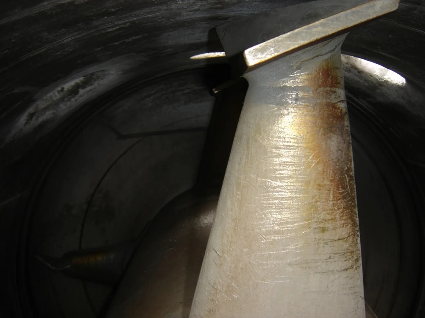 Vevey 4000 Ltr - Paddle dryer - 2