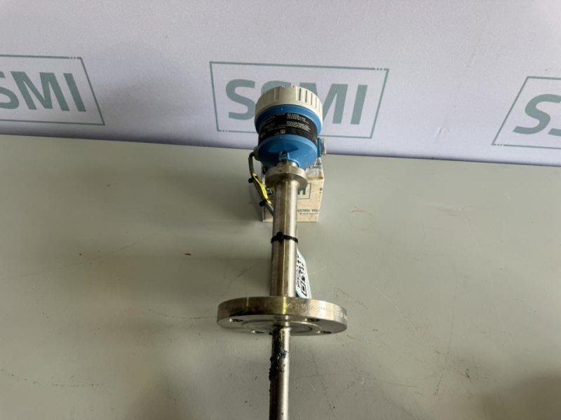 2020 Endress+Hauser Level Switch