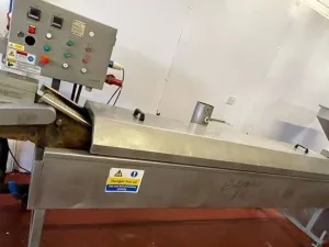 Continuous Electric Mini Fryer