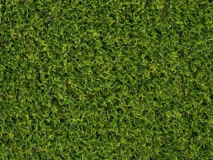 Kunstgras type San Siro 40