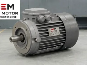 B14 Flange Electric Motors