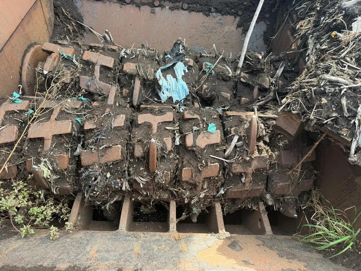 2002 Hammel VB 750E Electric Shredder - 8