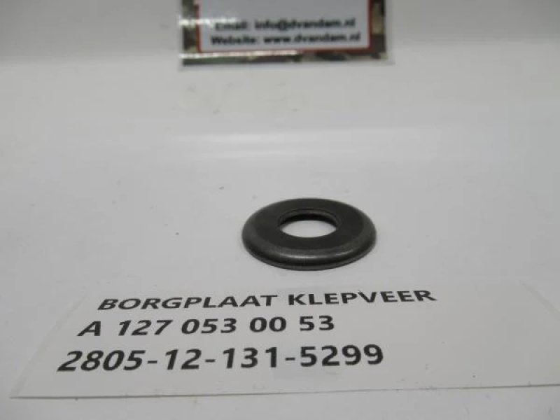 Borgplaat klepveer