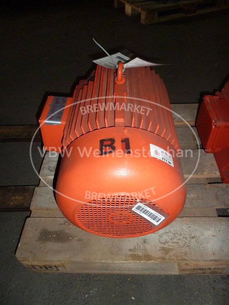 Electromotor