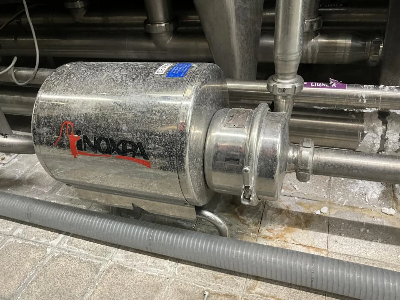 2015 Inoxpa Inoxpa PROLAC SE20 Stainless Steel Kontakt Parts Centrifugal Pump - 4