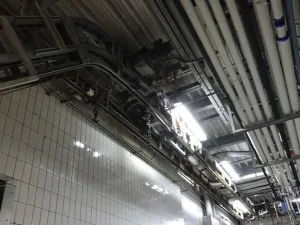 Bi-rail bleeding conveyor