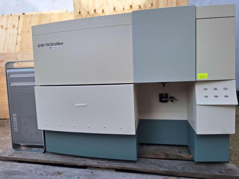 Becton Dickinson FACSCalibur Flow Cytometer