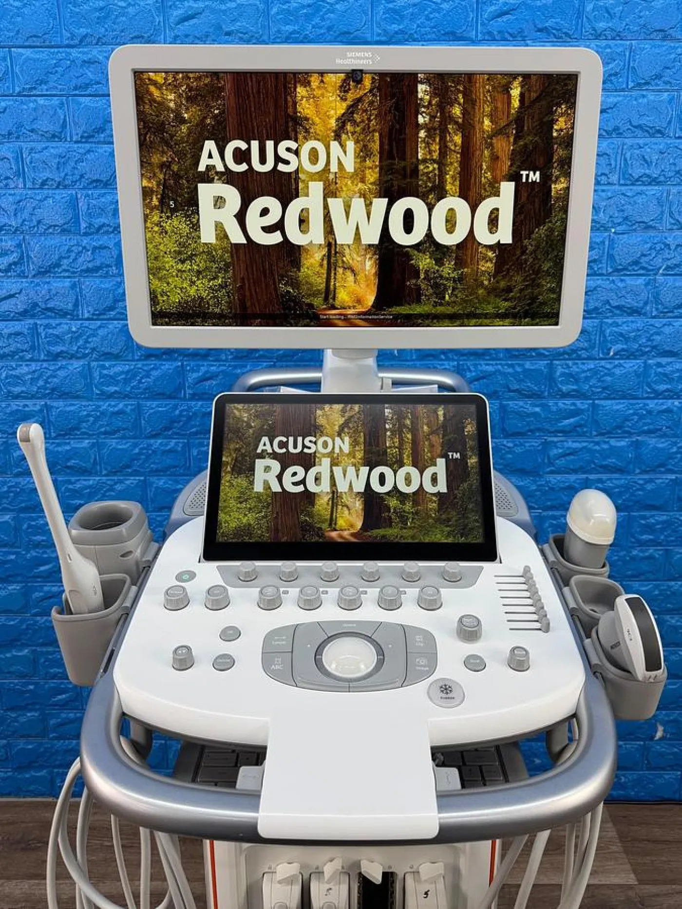 Siemens Acuson Redwood Diagnostic Ultrasound REF 11503314 YOM: 2022 - 4