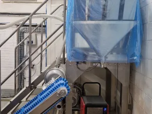 Linear Weigher 4 Lane, 2021