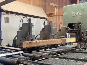 Primultini SIB-1600-CFK-IFB
