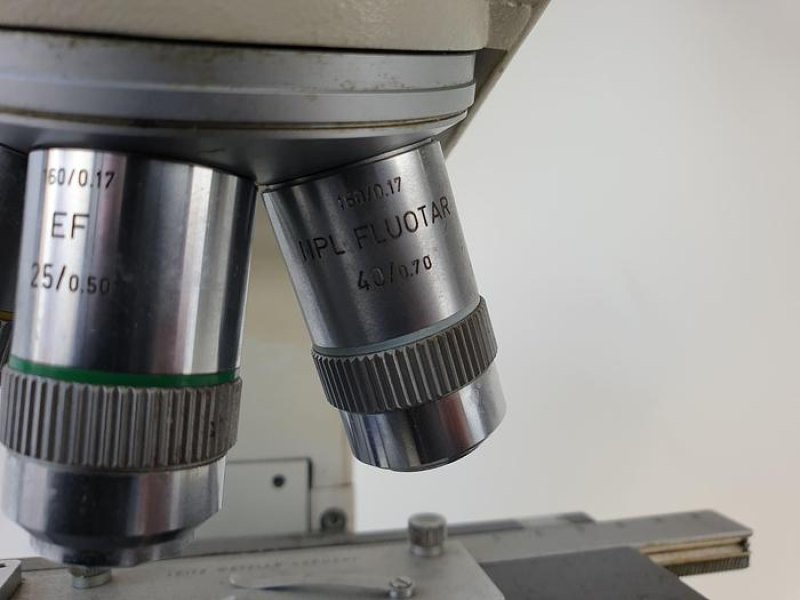 Leitz 020-435.028 Microscope Microscope