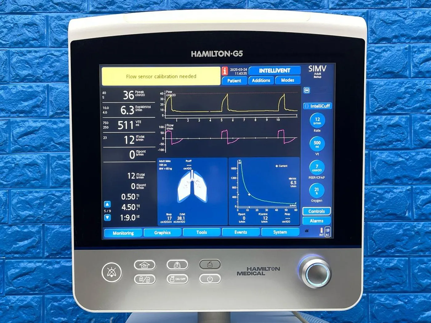 HAMILTON S1 Ventilator with Neonatal, Peads and Adult option YOM: 2013 - 8