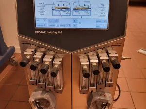2388 - Used Sartorius Stedim Biostat Cultibag RM - double bag