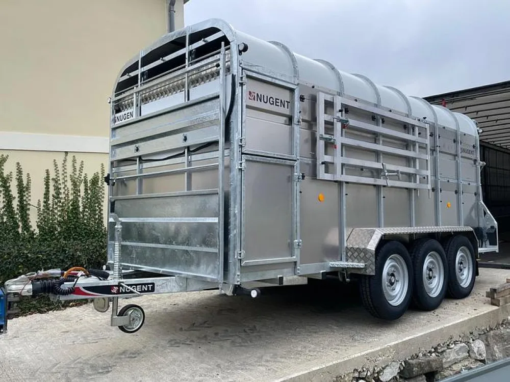 Nugent LS4318T Schafdeck - im Zulauf