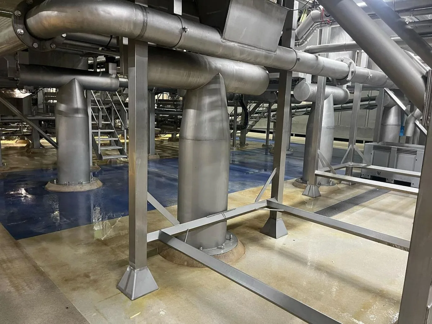 - Complete sorteerlijn voor productie van French Fries - 5