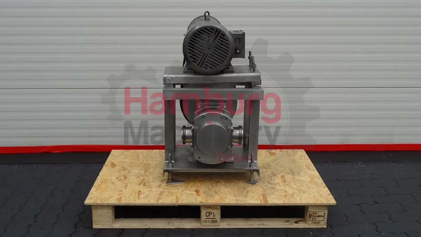 Rotary positive displacement pump / Lobe pump - ITT Jabsco Pureflo Lobe 24250-4310 - 1