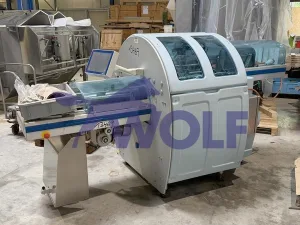 Schrumpf-Packmaschine GRUPPO FABRY VIGNOLA - Type Automac 55 PIU-B597, Baujahr 2020.