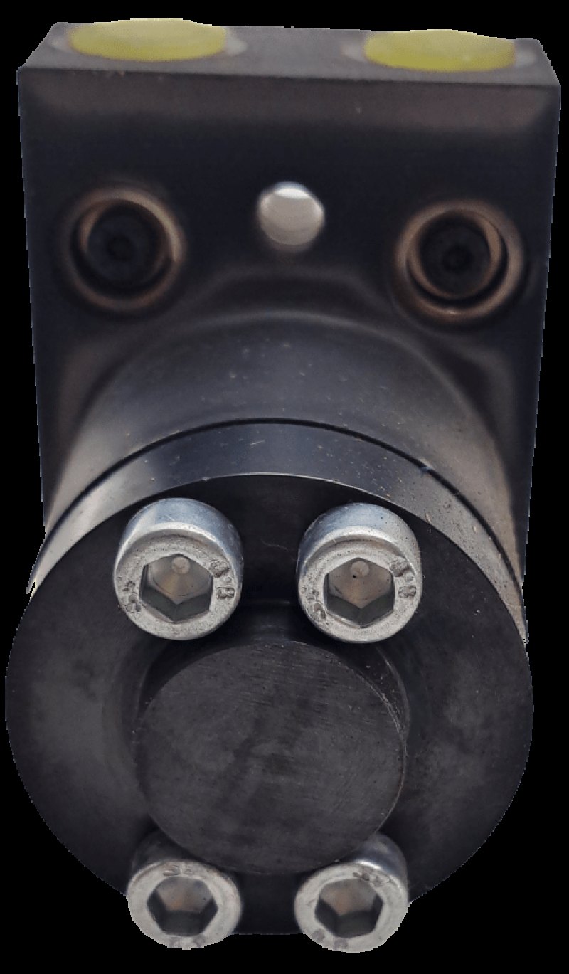 Roemheld Schwenkspanner mit Überlastsicherung 1893243