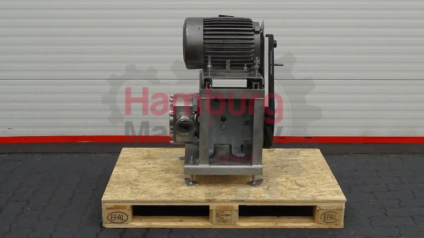 Rotary positive displacement pump / Lobe pump - ITT Jabsco Pureflo Lobe 24250 - 5