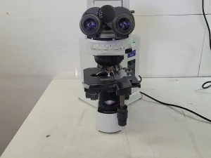 Olympus BX51TF Microscope