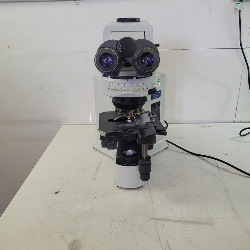 Olympus BX51TF Microscope