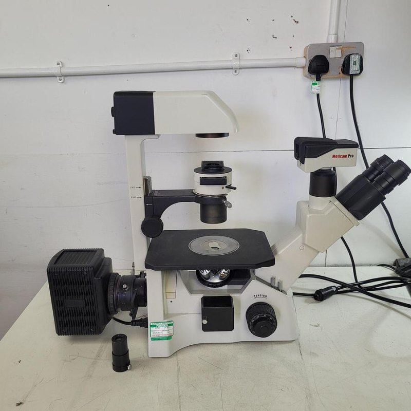 Motic AE31 Microscope