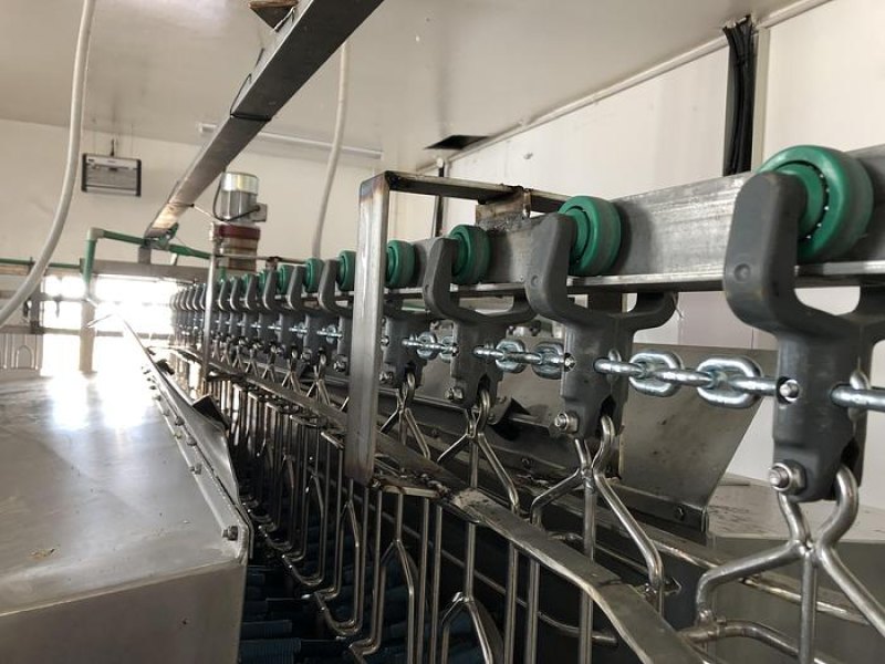 Poultry slaughter line, 1.000 bph