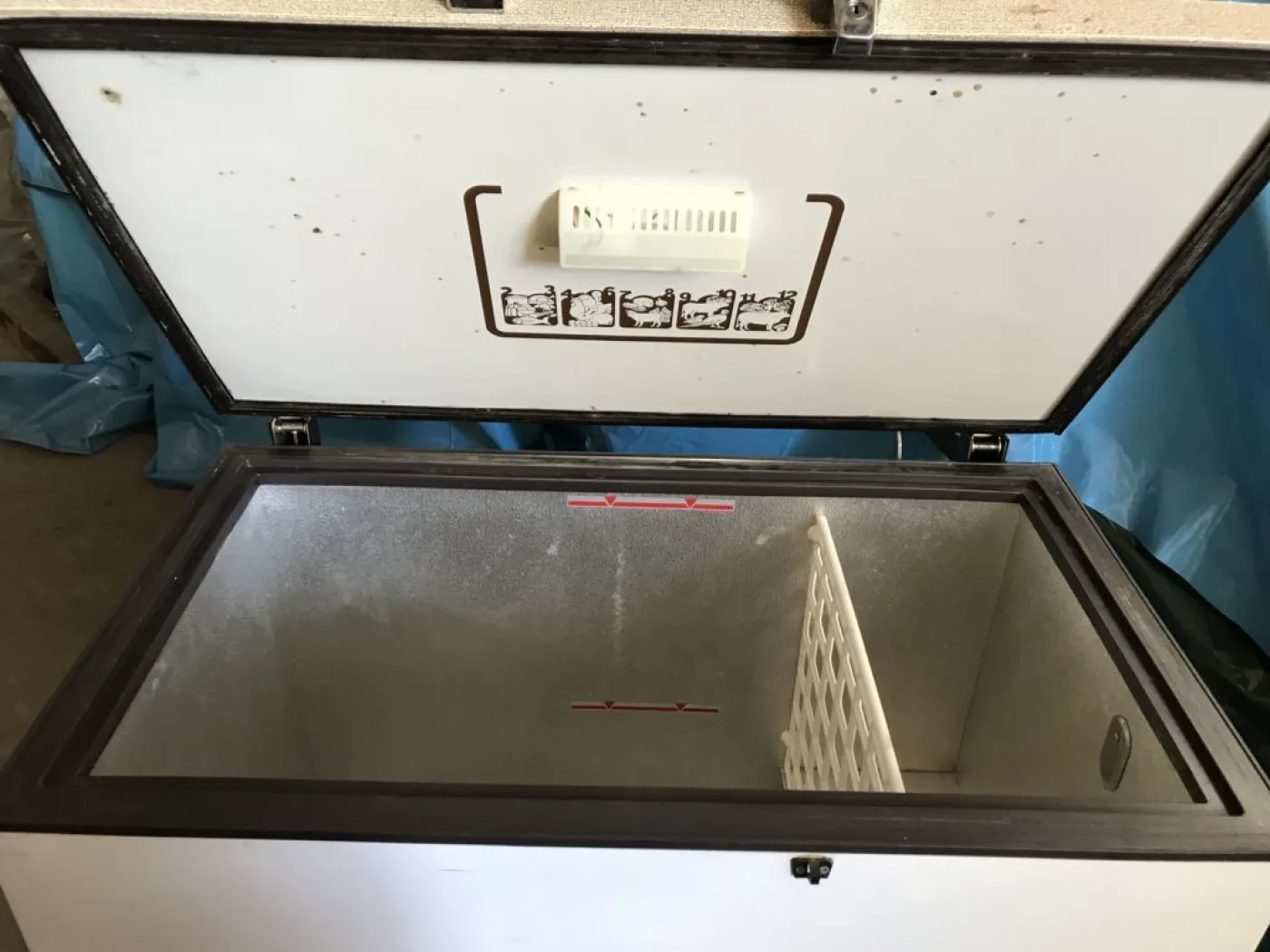CONGELATORI IGNIS / IBERNA - 4