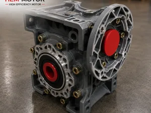 HEM40 Worm Gear Reducer