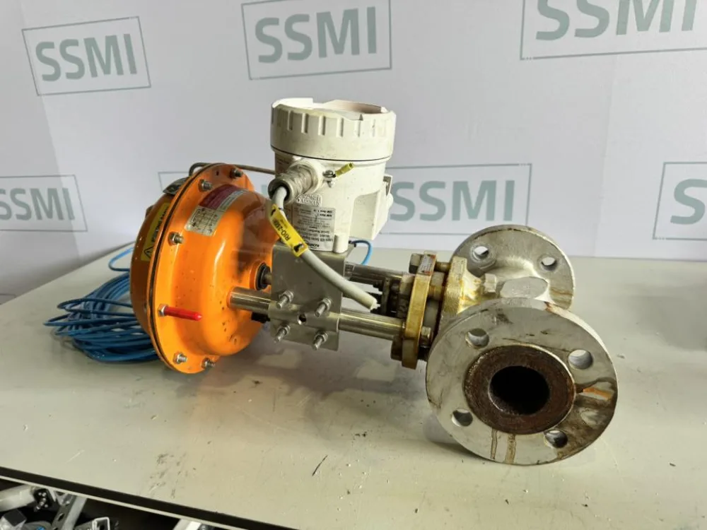 2021 Flowserve Pneumatic control valve actuator with digital positioner