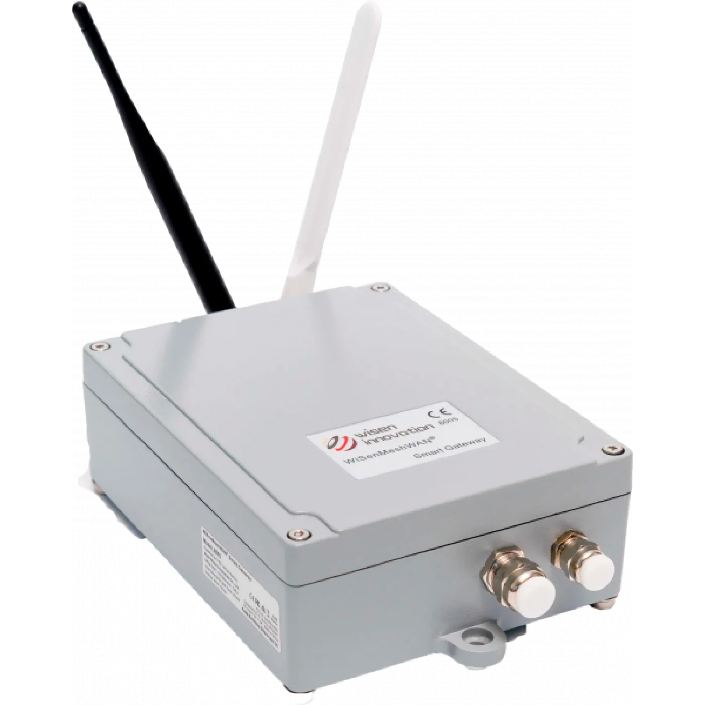 WiSenMeshWan Smart Gateway - 1