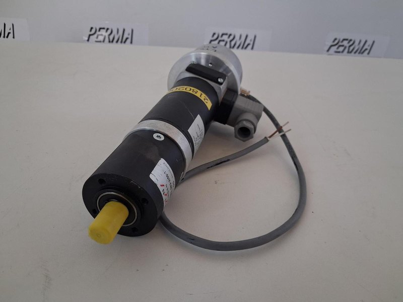 Gysin GPL 052-50:1 Permanentmagnet-Servomotor mit Planetengetriebe