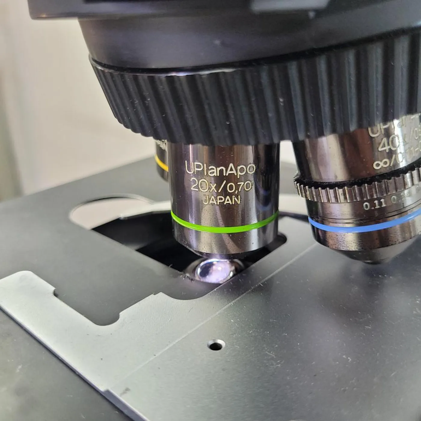 Olympus BX51TF Microscope - 5