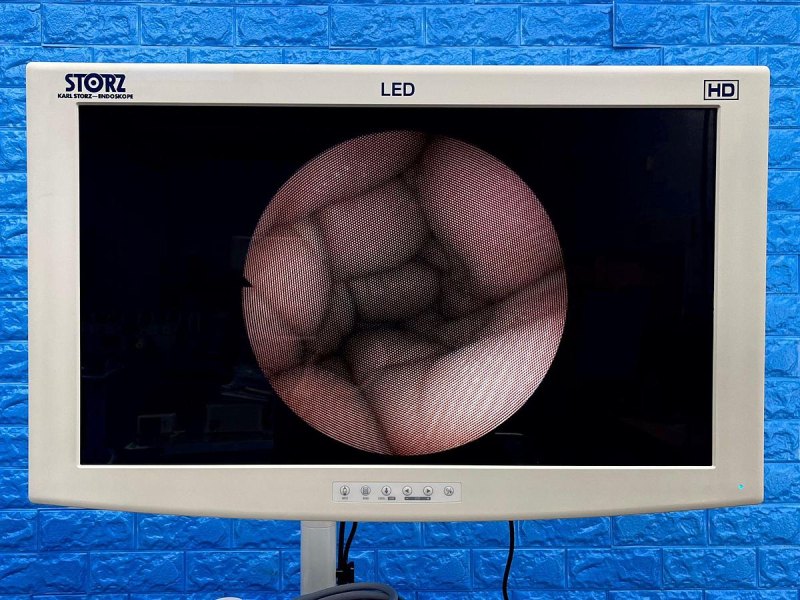 Karl Storz 11272 C1 Cysto-Urethro-Fiberscope