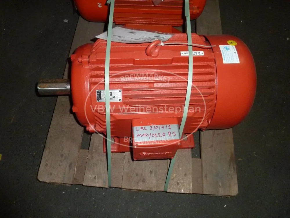 Motor