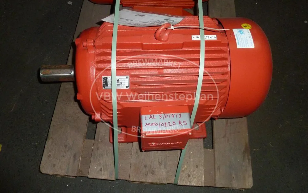 Motor