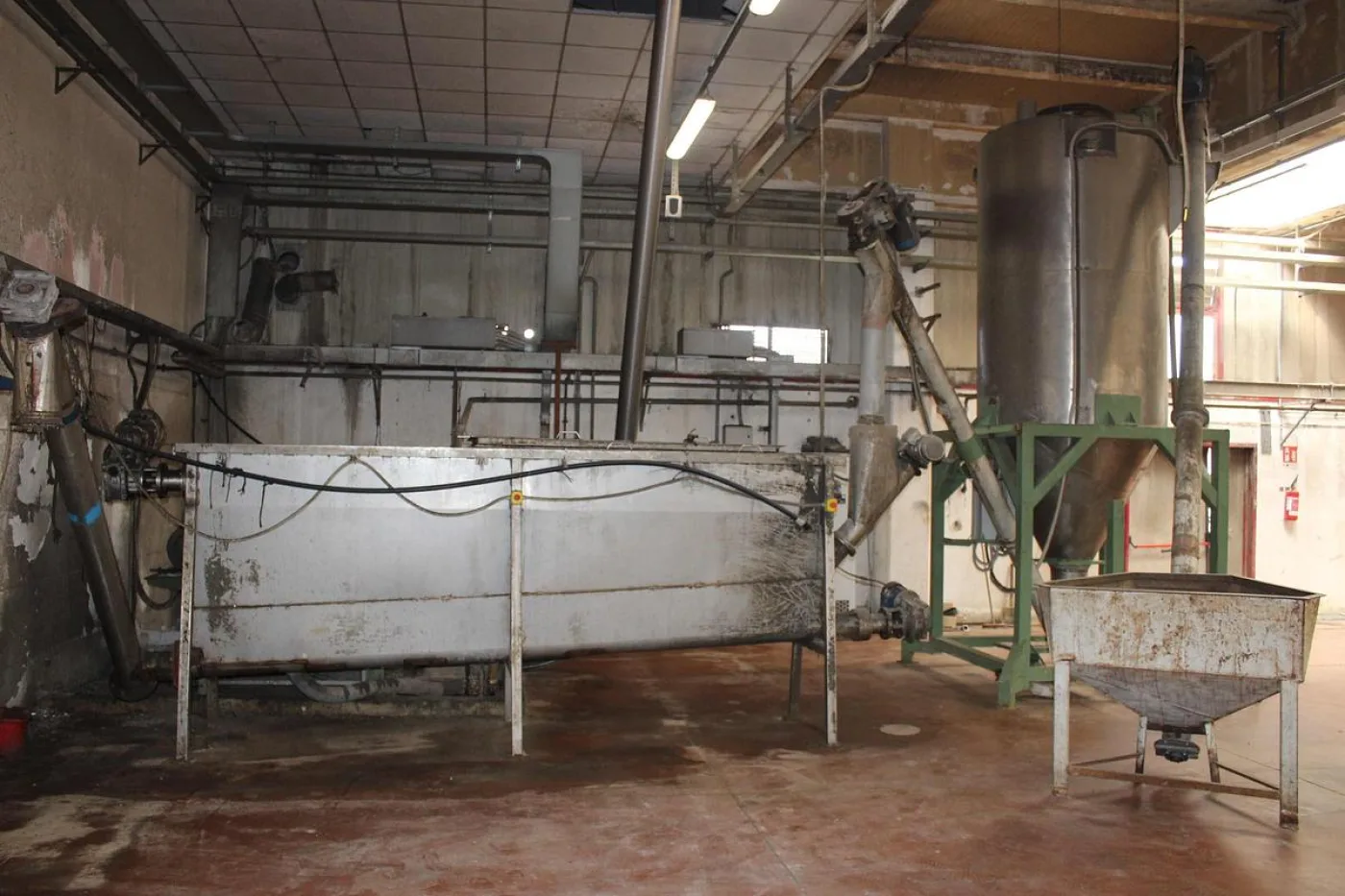 2009 OLIVARI SINGOLA ELICA RI0044 - 2