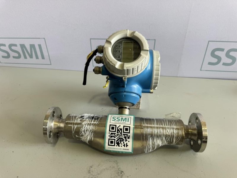 2021 Endress+Hauser Flowmeter