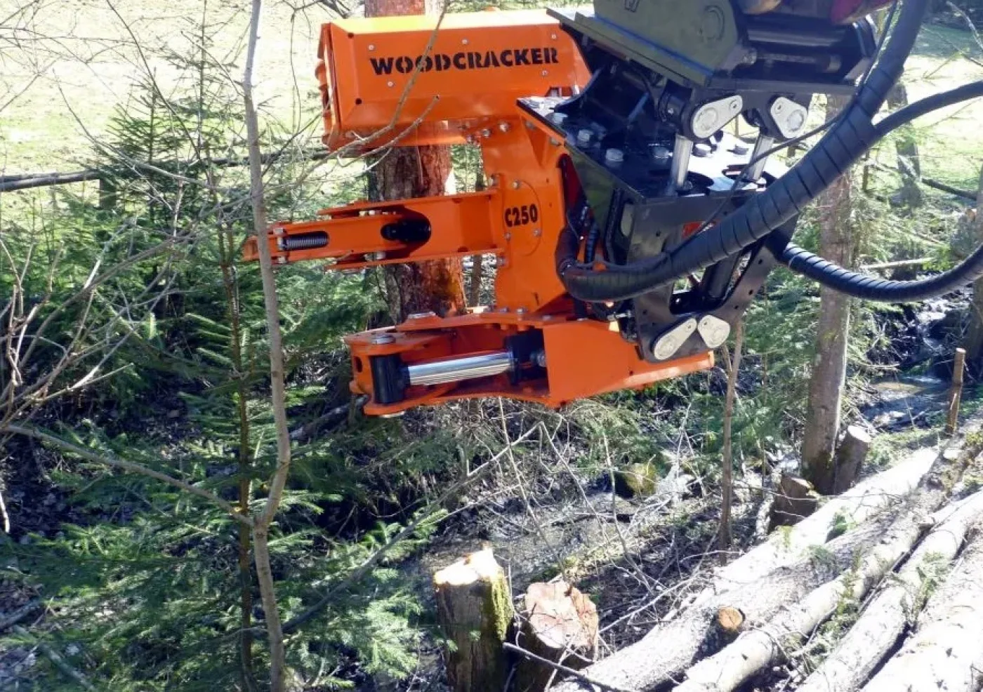 Westtech - Woodcracker C 250 - 3