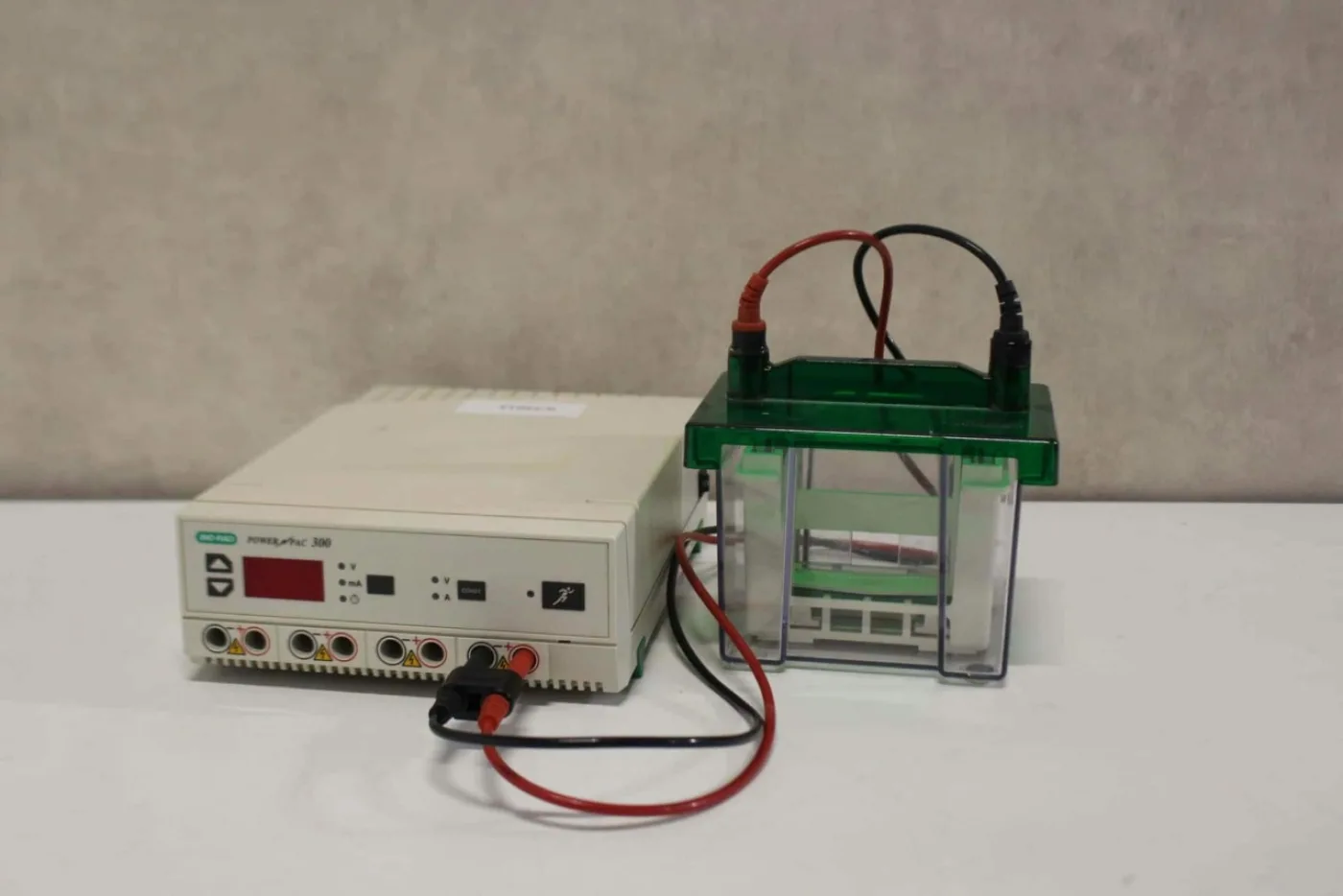 Bio-Rad Mini-PROTEAN 3 Elektroforese Systeem - 1
