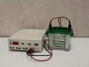 Bio-Rad Mini-PROTEAN 3 Elektroforese Systeem