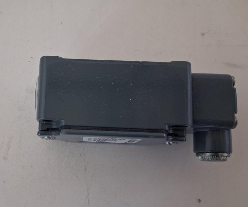 Pizzato FD231-1 Positionsschalter