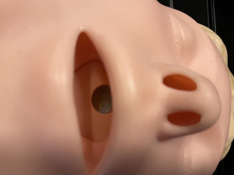 Laerdal Skillmeter Resusci Anne