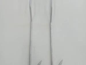 Hooks for organ conveyor